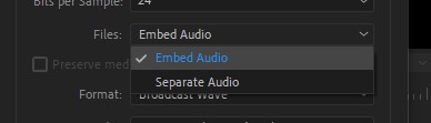 embed audio